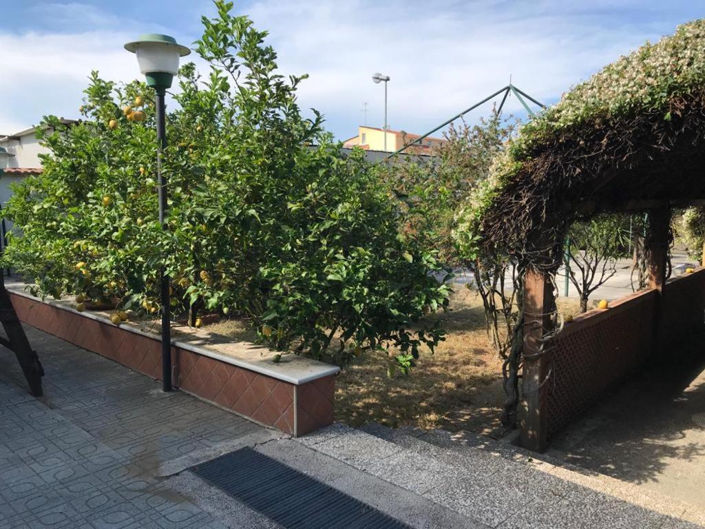 Mary Rose Bed & Breakfast Castel Volturno Exterior photo